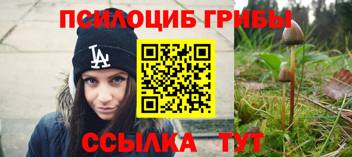 Галлюциногенные грибы MAGIC MUSHROOMS Новокубанск