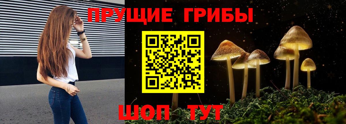 Новокубанск  Галлюциногенные грибы ЛСД  Вход с VPN  Псилоцибиновые грибы Psilocybine cubensis 