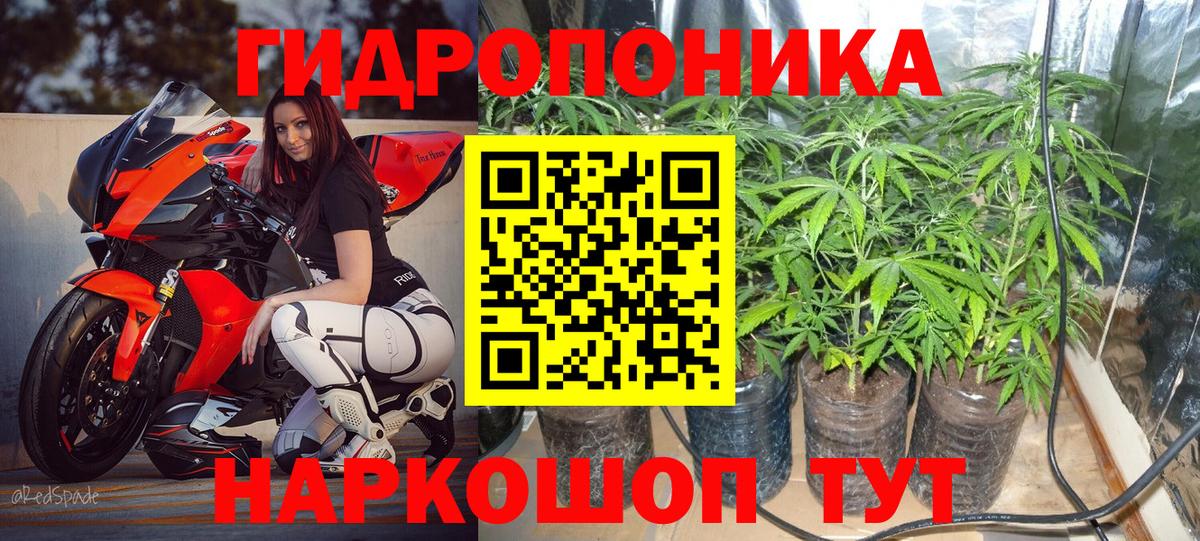 Каннабис White Widow Новокубанск