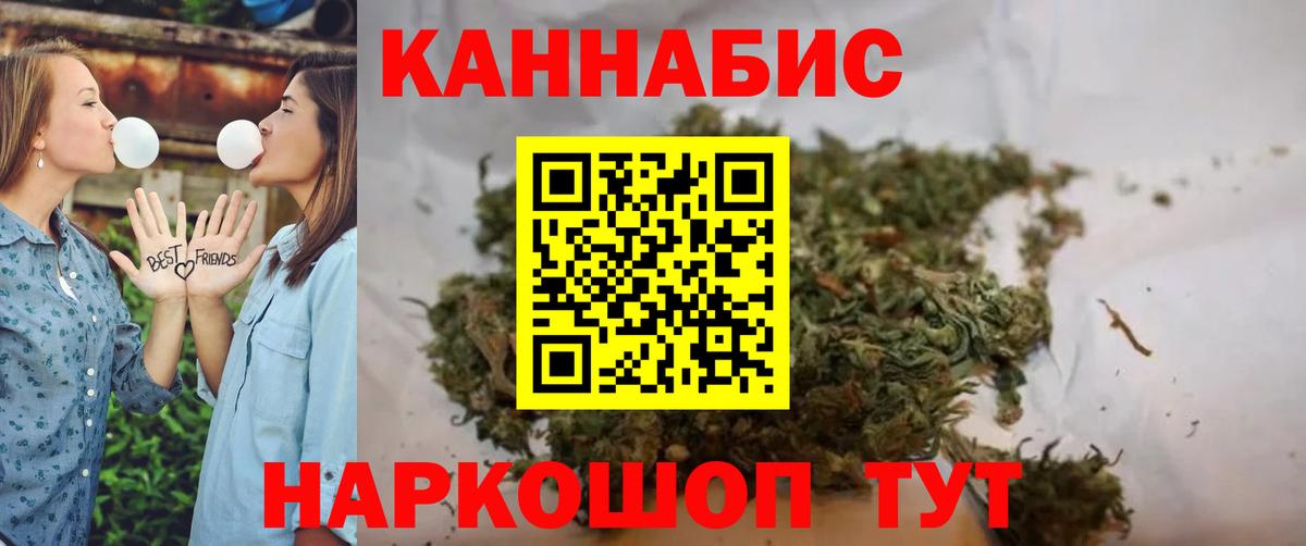 Канабис план  Вход с VPN  Новокубанск  Бошки Шишки сатива 